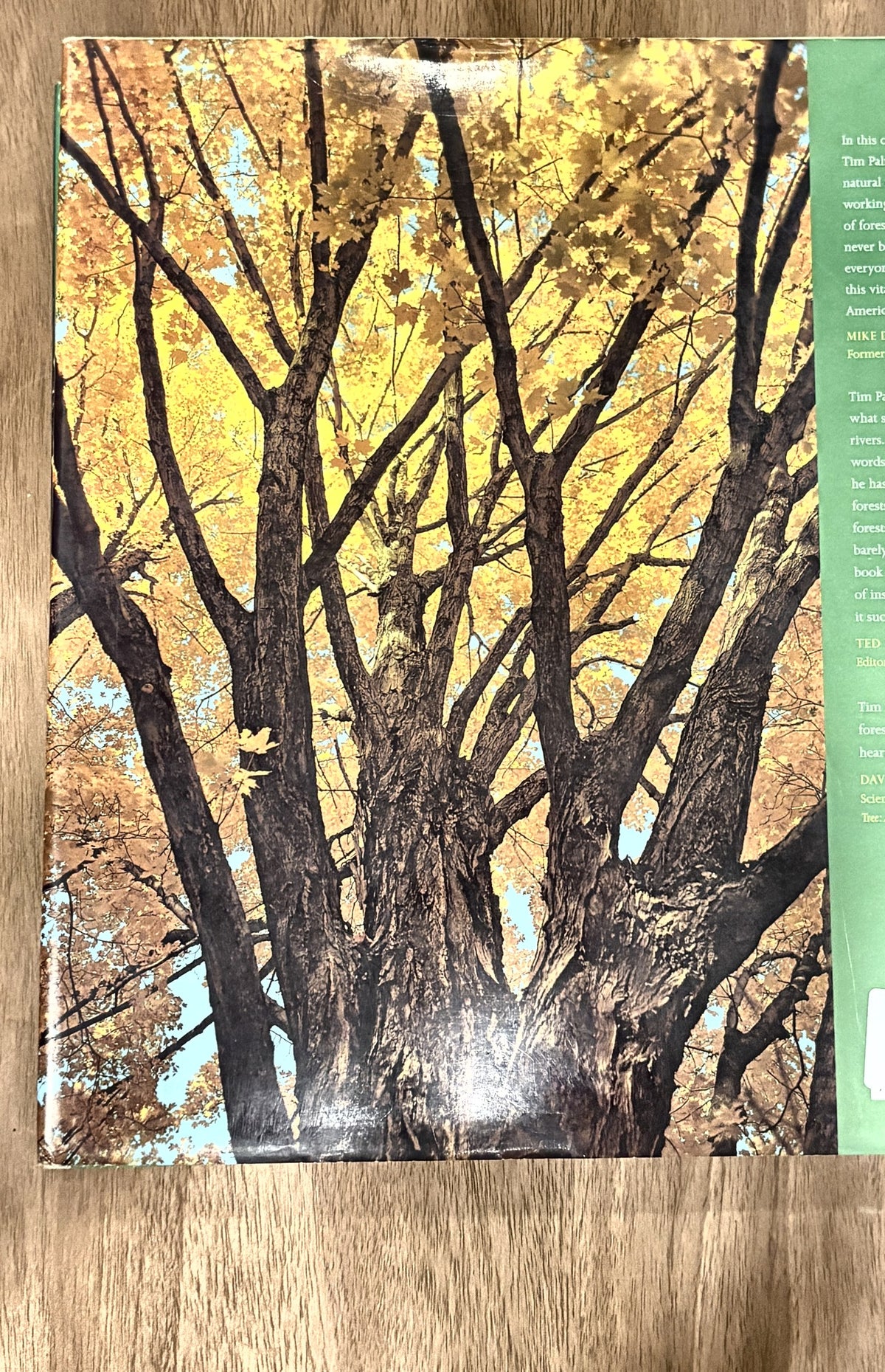 Trees & Forests of America — Tim Palmer