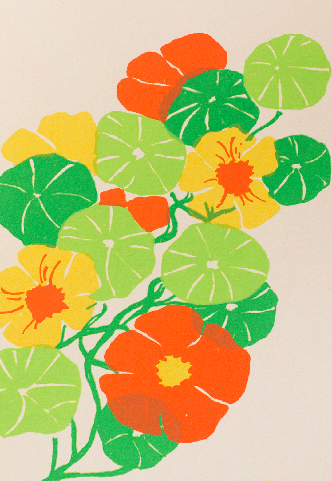NASTURTIUM GREETING CARD
