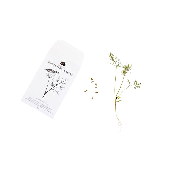 CULINARY HERB SEEDS II - PACK OF 5