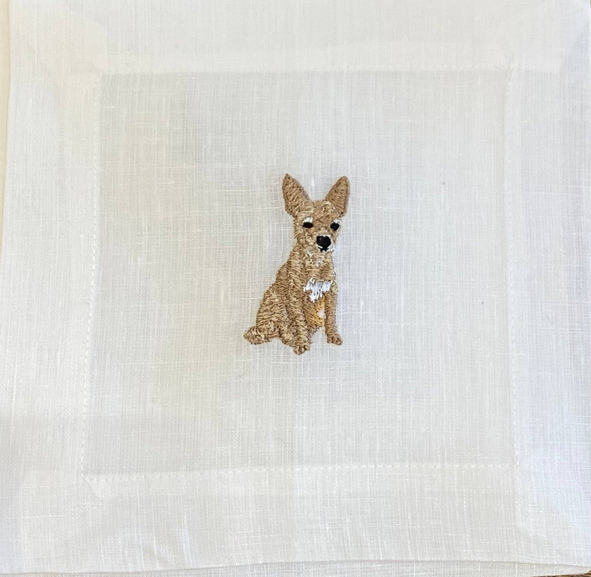 Chihuahua