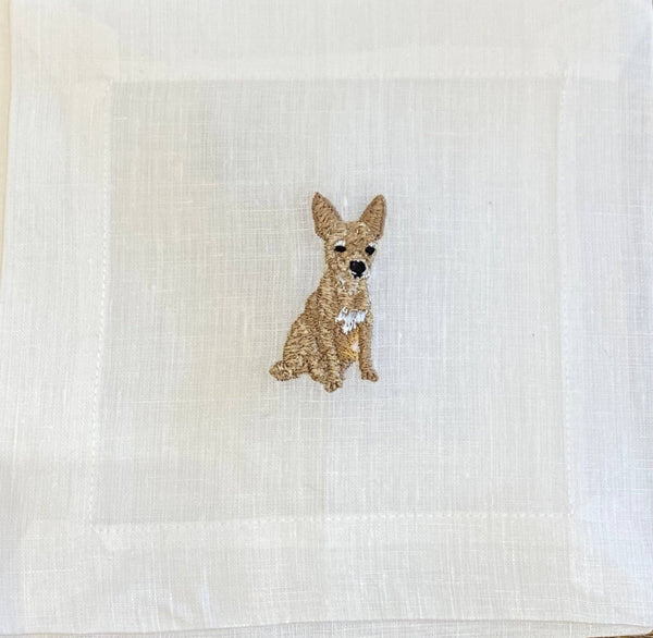 Chihuahua