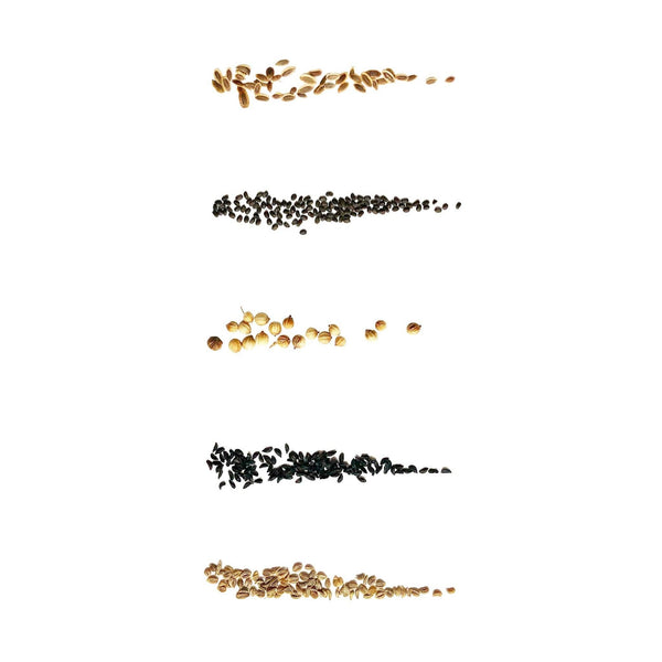 CULINARY HERB SEEDS I - PACK OF 5