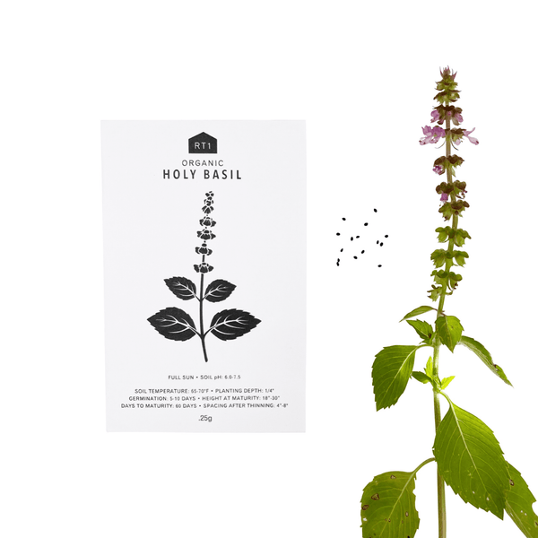 MEDICINAL HERB SEEDS - PACK OF 5