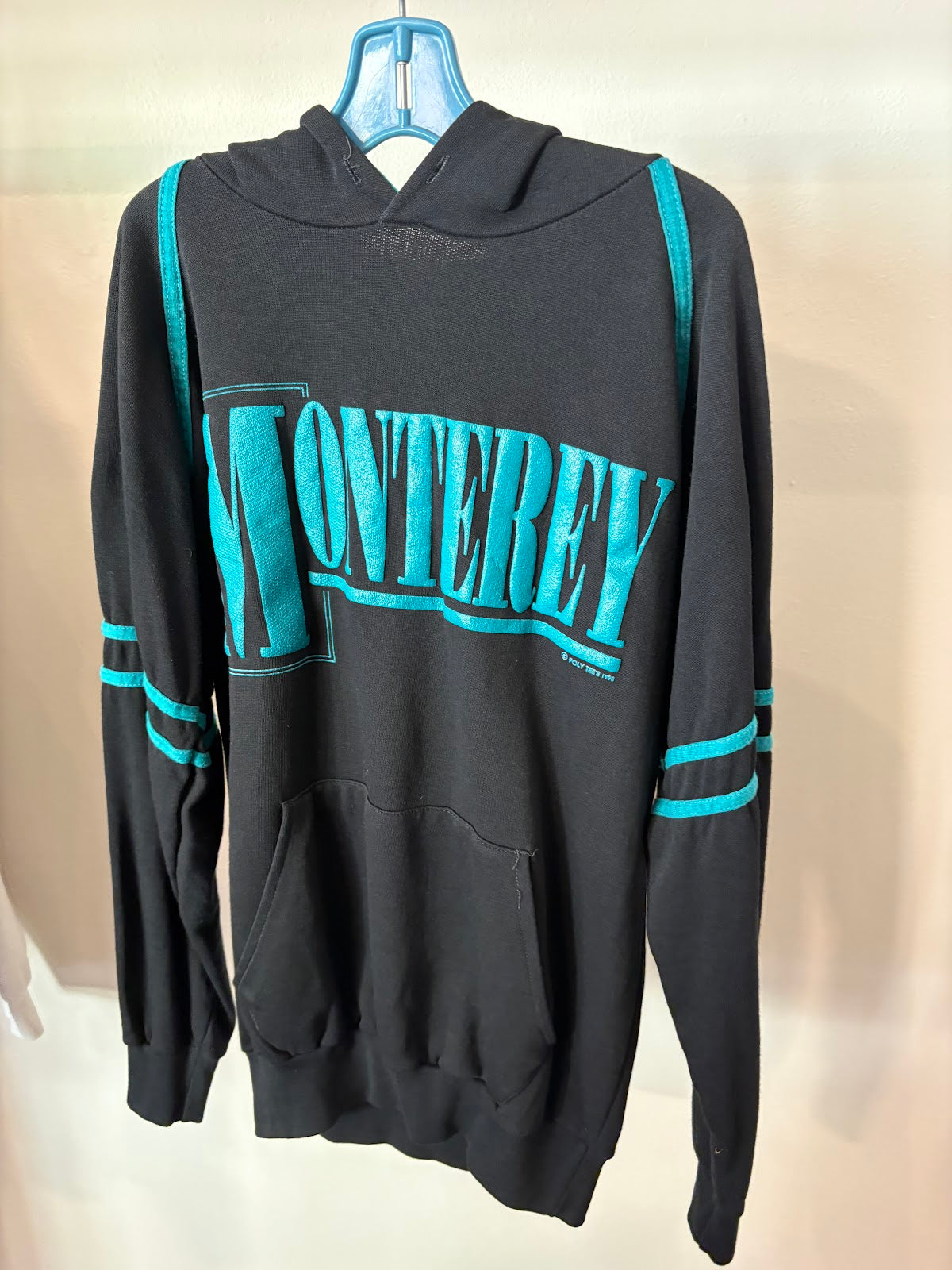 Monterey Hoodie, Teal Stripe - front