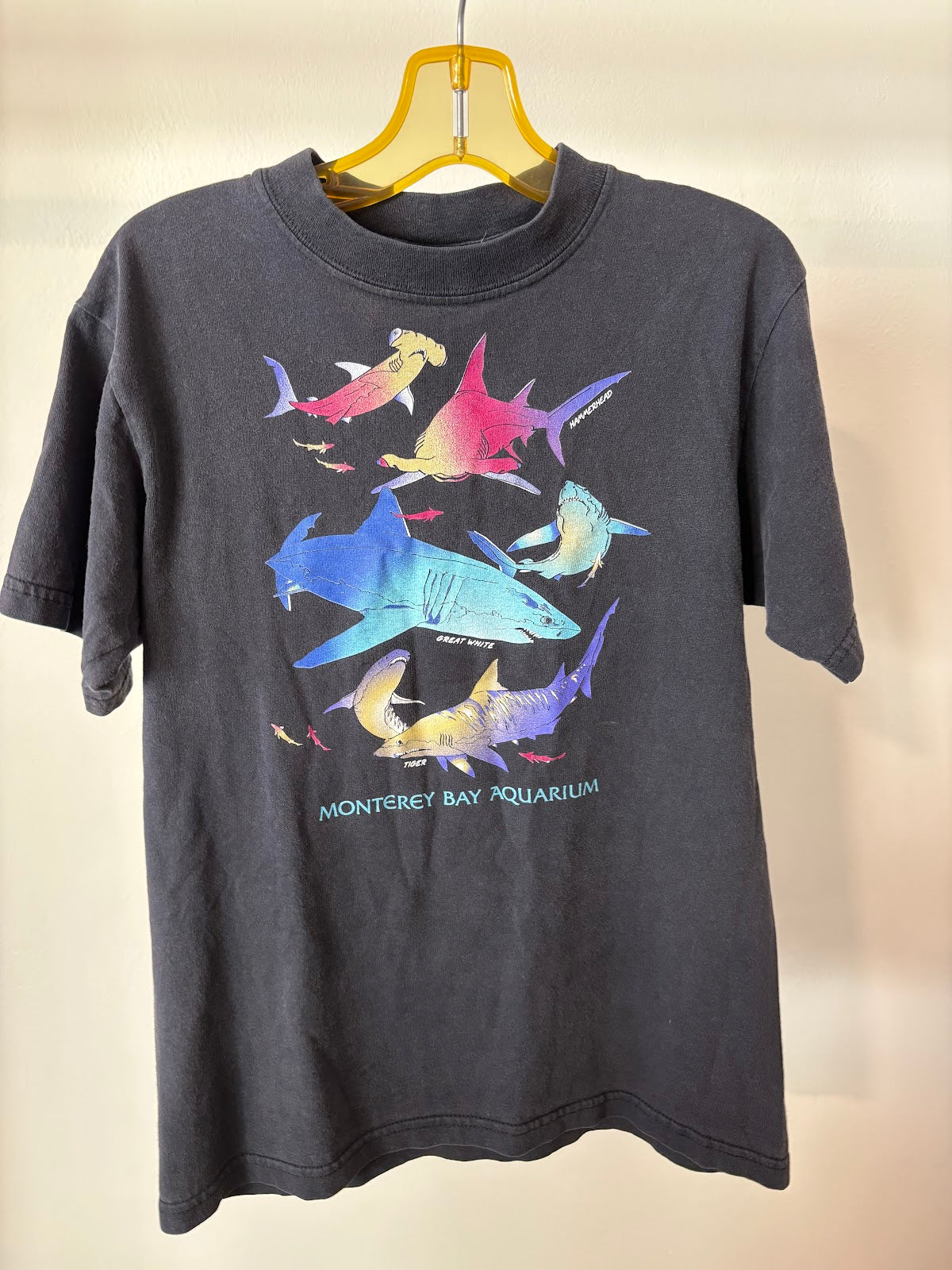 Kids' Rainbow Sharks Monterey Bay Aquarium Tee - front