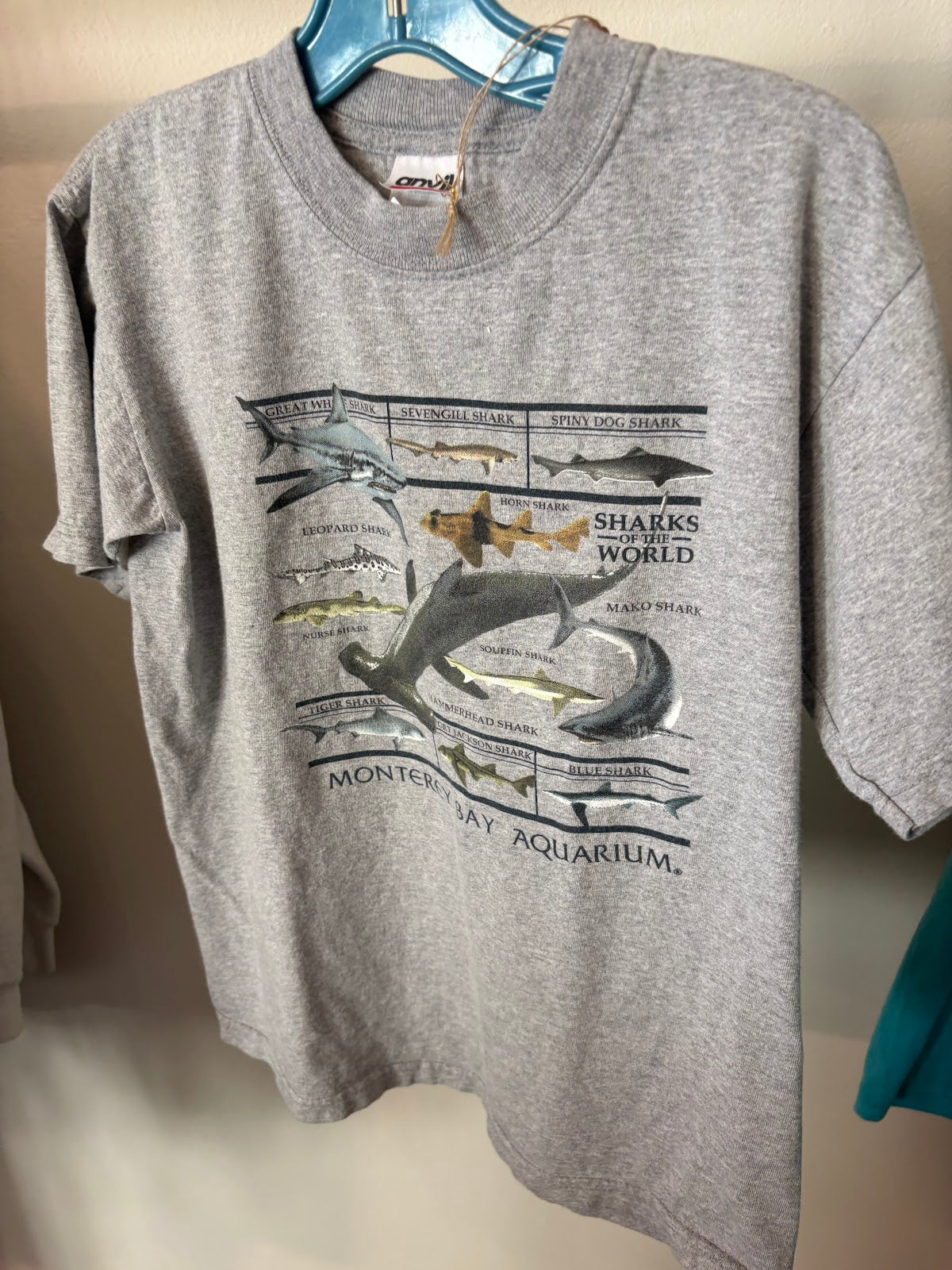 Sharks of the World T-Shirt - front