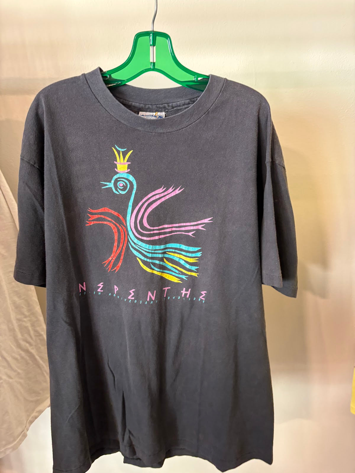 Charcoal Phoenix-Bird Graphic Tee - front
