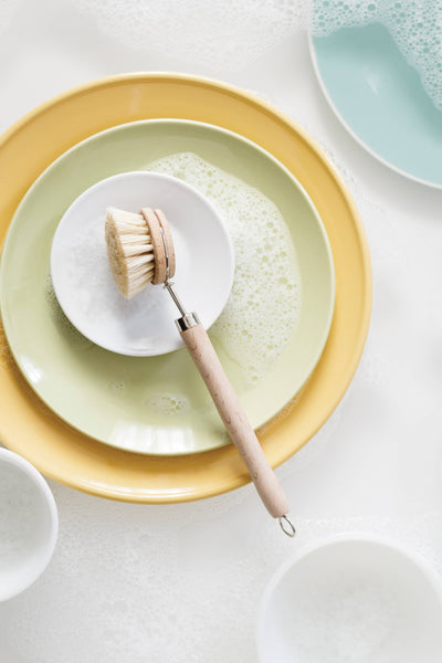 Fox Run Natural Dish Brush, Tampico Fiber Bristles, 9"