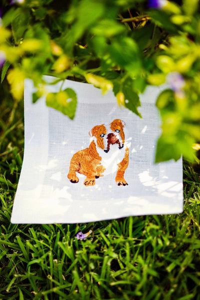 English Bulldog