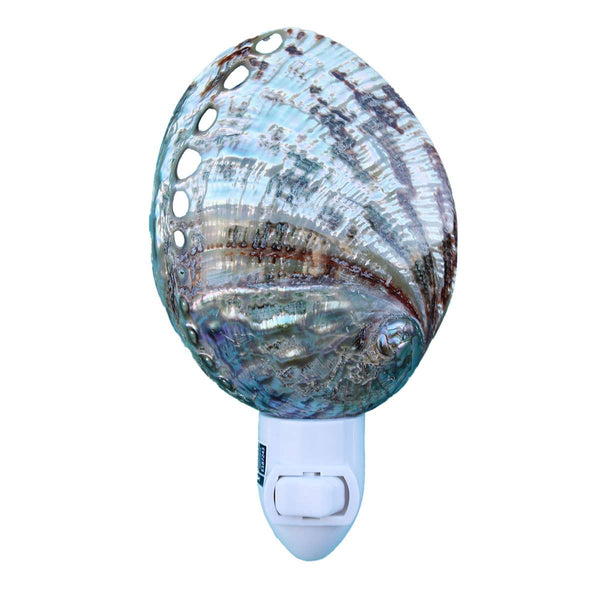 Polished Green Abalone Seashell Night Light
