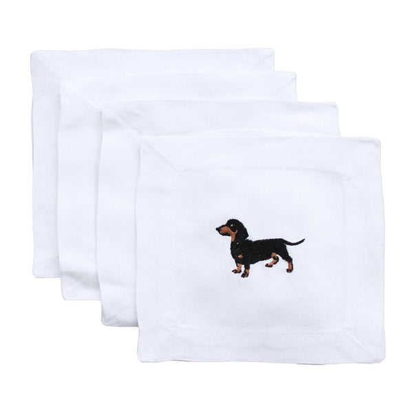 Dachshund