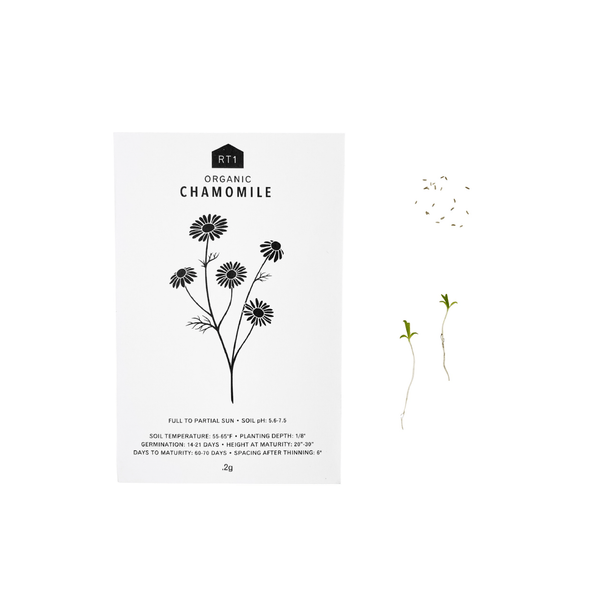 MEDICINAL HERB SEEDS - PACK OF 5