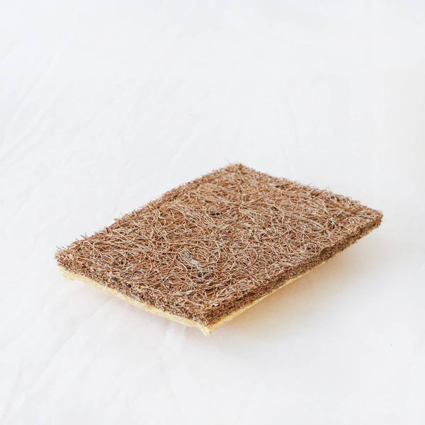 Cellulose Dish Sponge with Coconut Scrubber