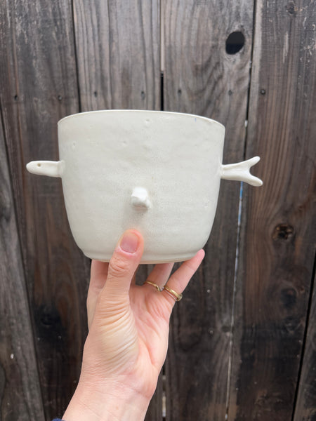 SSFish bowl