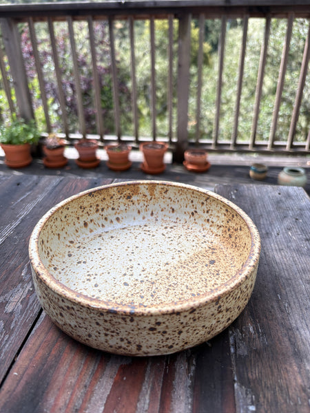 Large Shallow Dog Bowl — Large