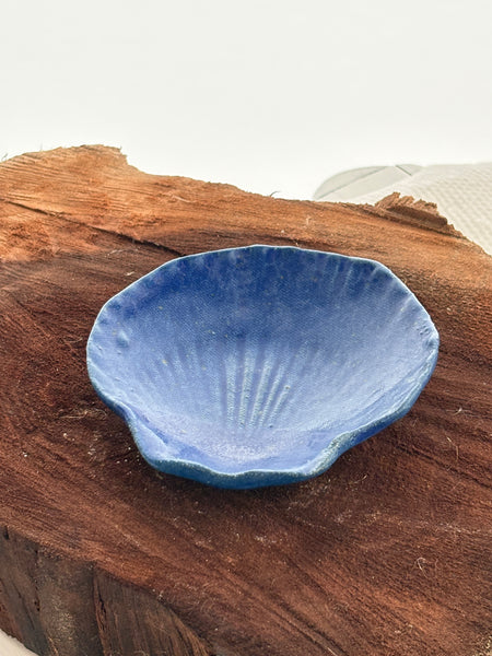 Med Shell Blue SAMPLE