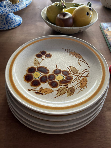 Vintage Stoneware Dinner Plates