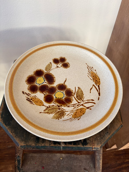 Vintage Stoneware Dinner Plates
