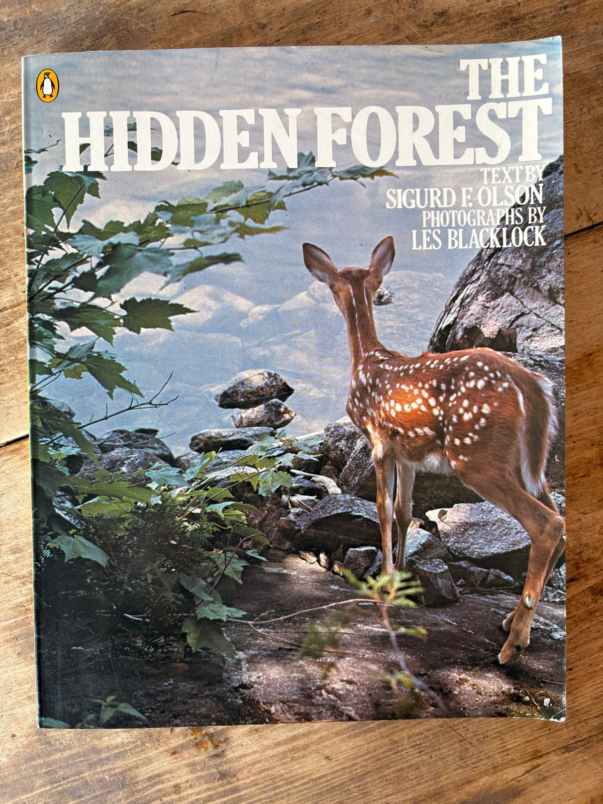 The Hidden Forest — text by Sigurd F. Olson, photographs by Les Blacklock