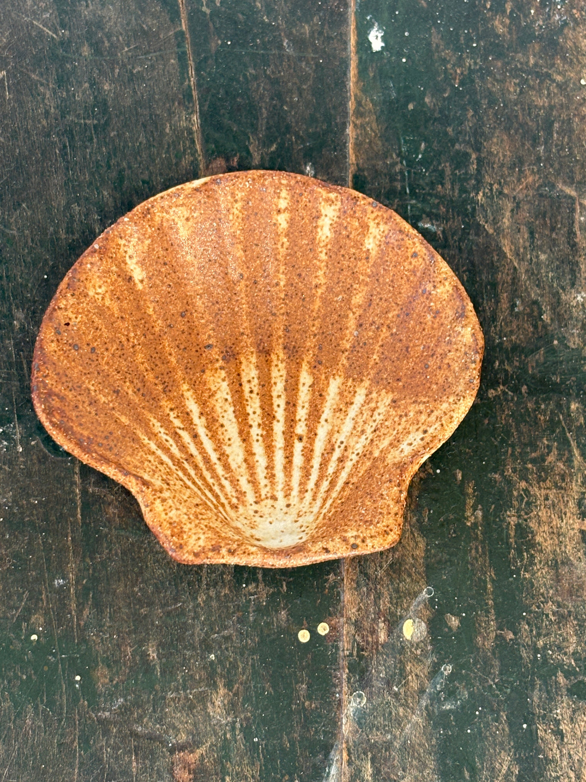 Lucy MiShells