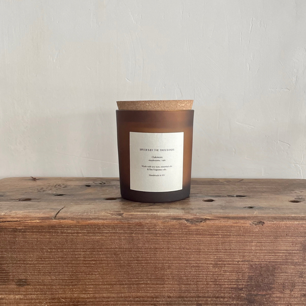 Oakmoss, Mushrooms + Rain Handcrafted Scented Soy Candle