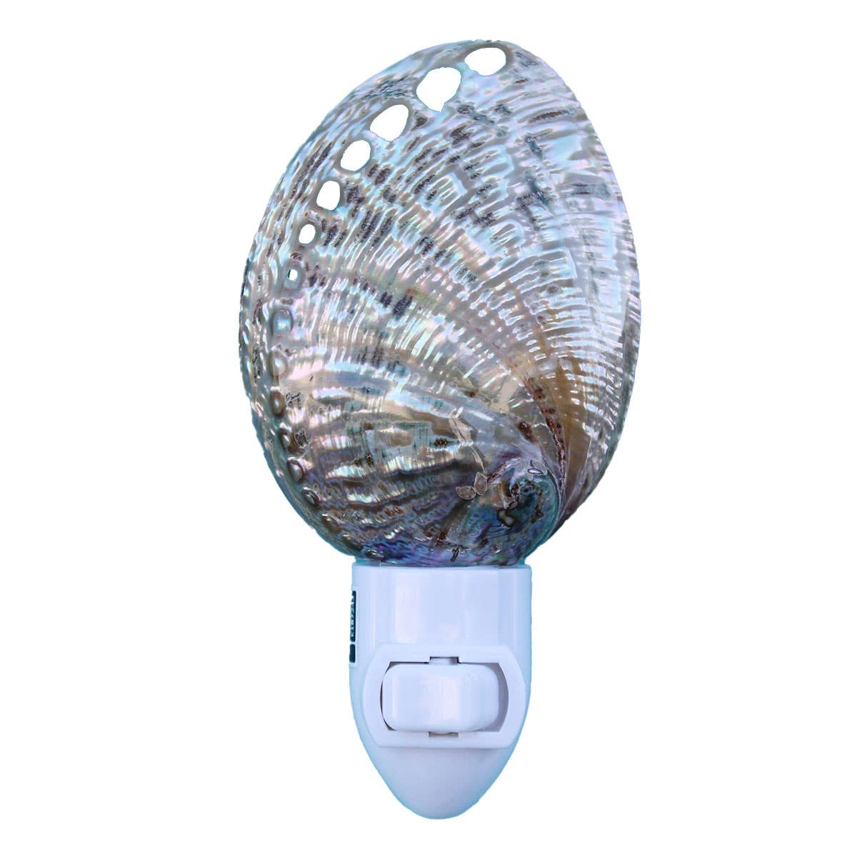 Polished Green Abalone Seashell Night Light