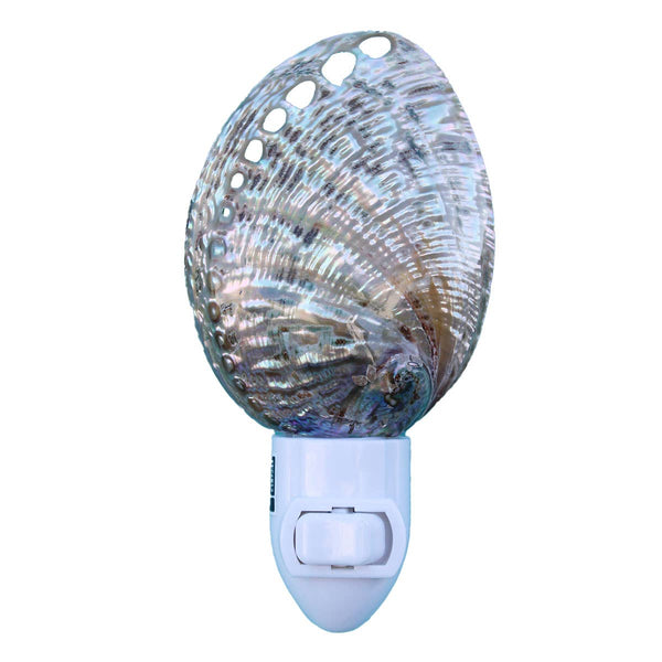 Polished Green Abalone Seashell Night Light