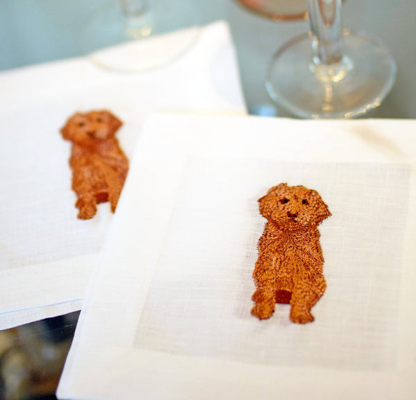 Cavapoo