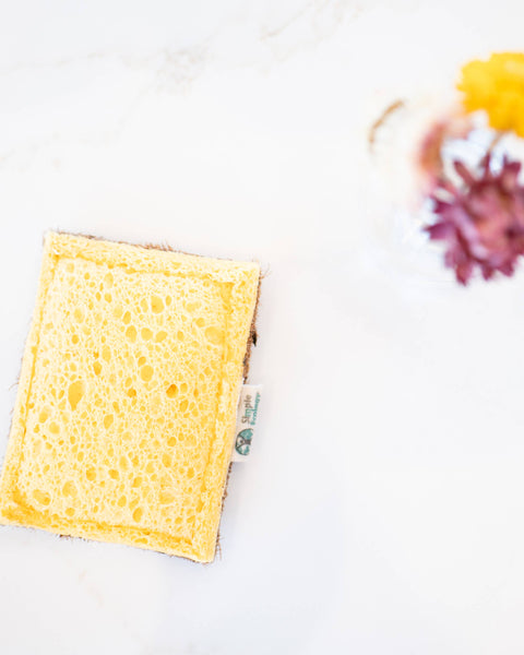 Cellulose Dish Sponge with Coconut Scrubber