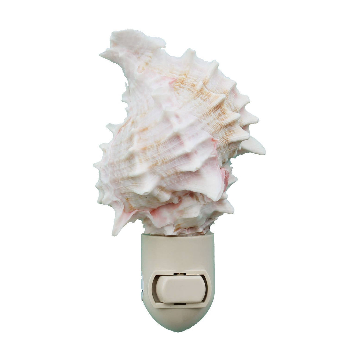 Pink Murex Seashell Night Light
