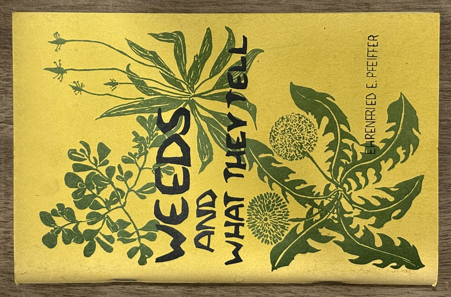 Weeds and What They Tell — Ehrenfried E. Pfeiffer