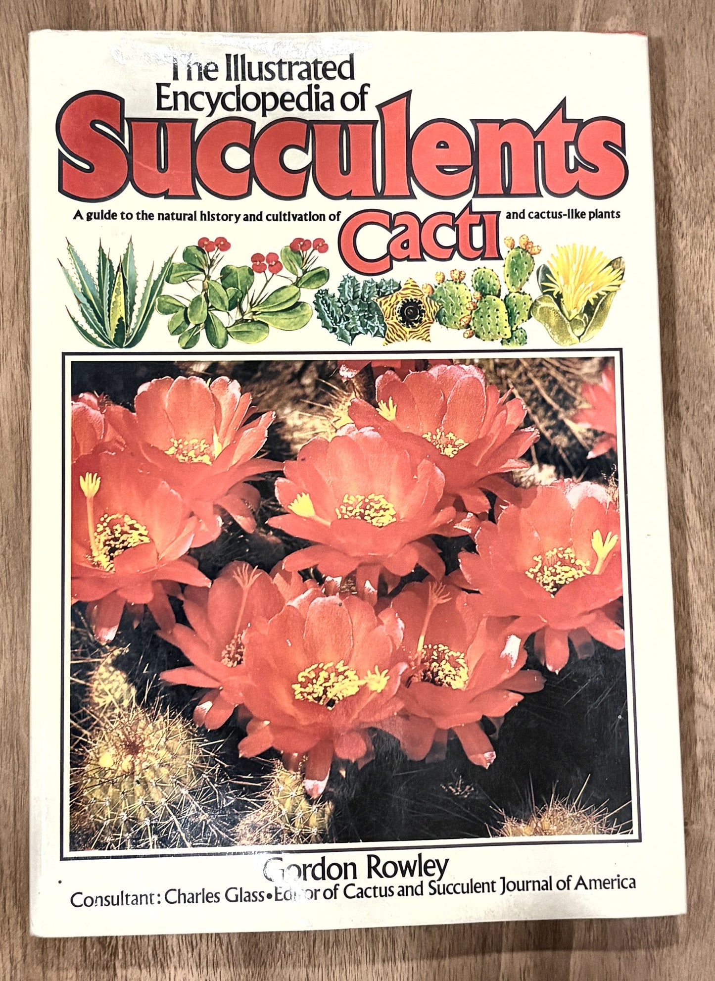 The Illustrated Encyclopedia of Succulents — Gordon Rowley