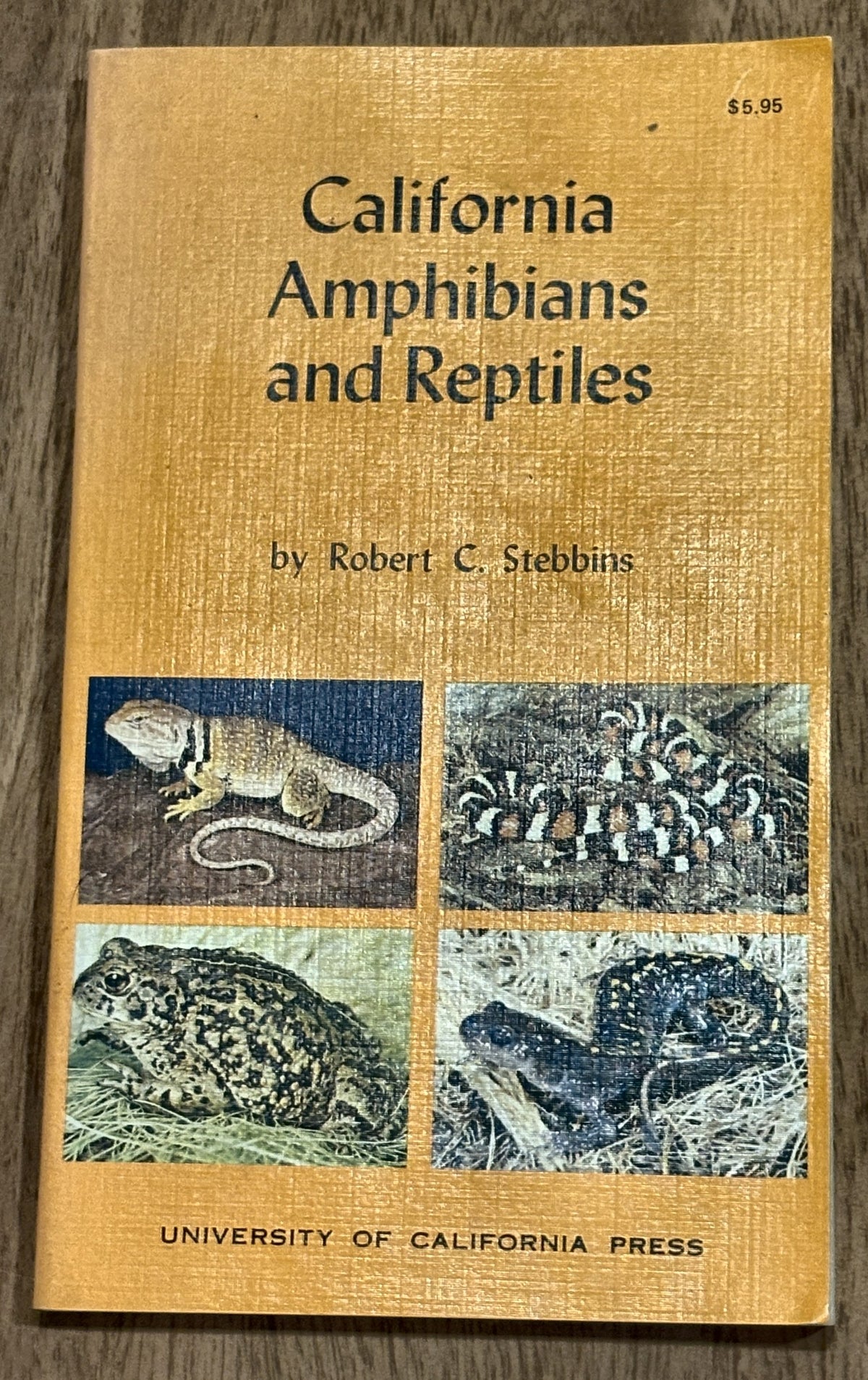 California Amphibians and Reptiles — Robert C. Stebbins