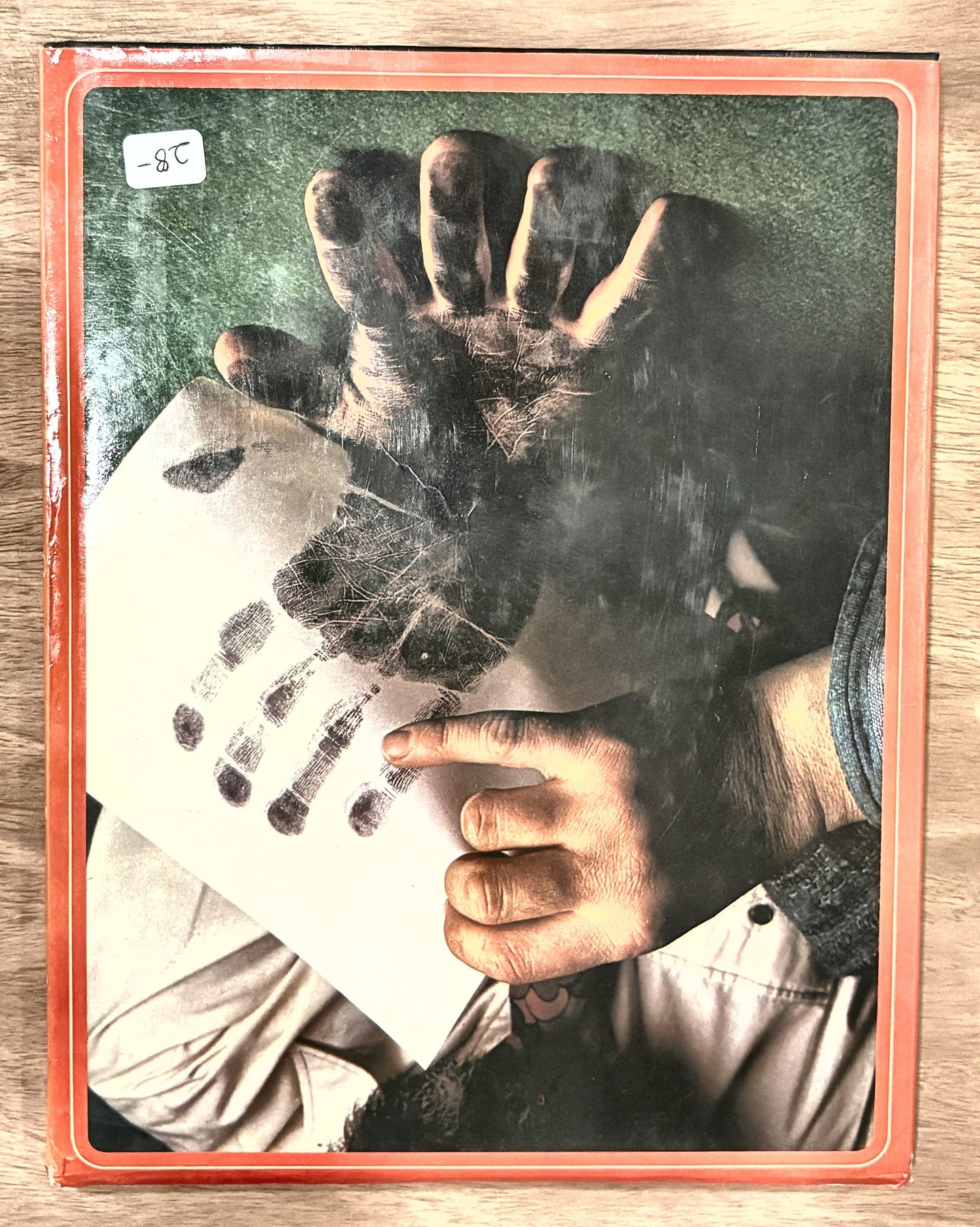 The Book of Palmistry