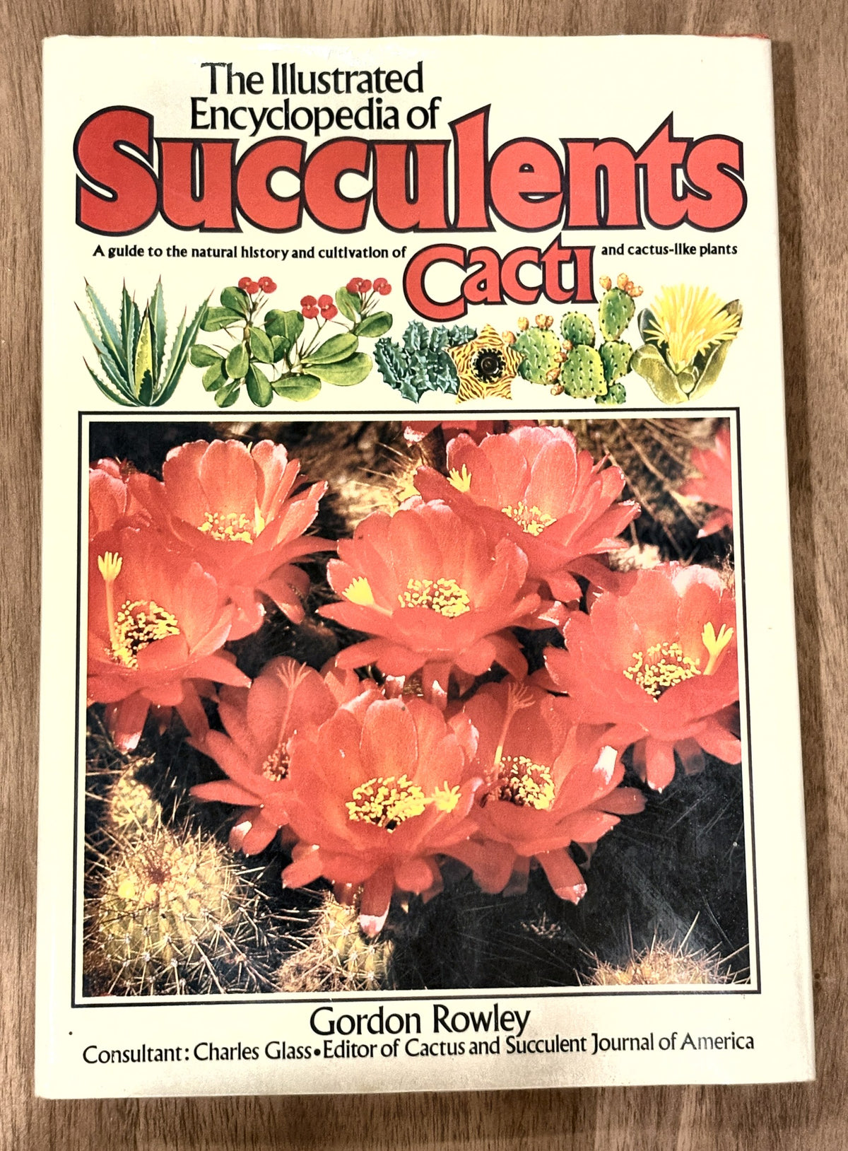 The Illustrated Encyclopedia of Succulents — Gordon Rowley