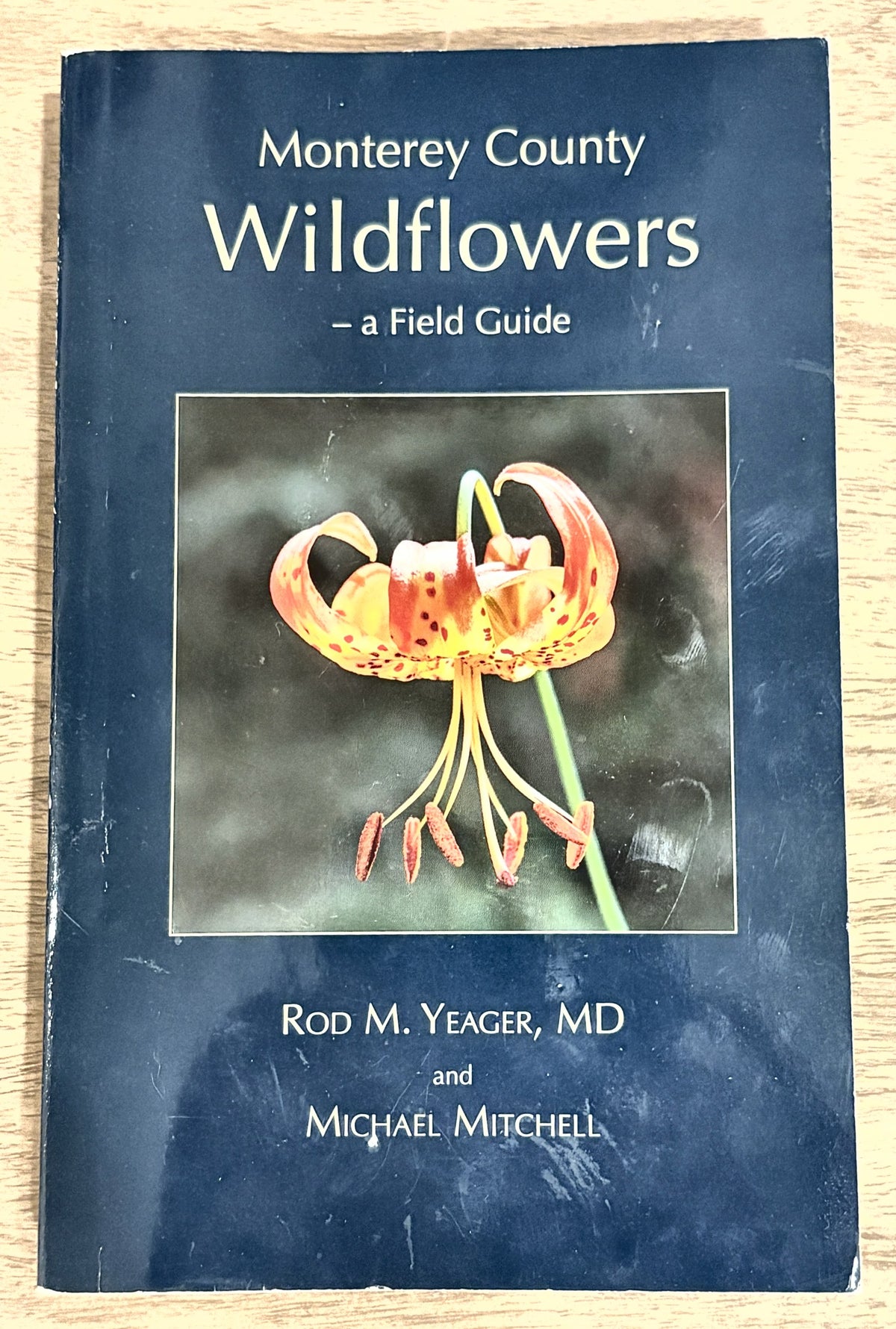 Monterey County Wildflowers — Rod M. Yeager