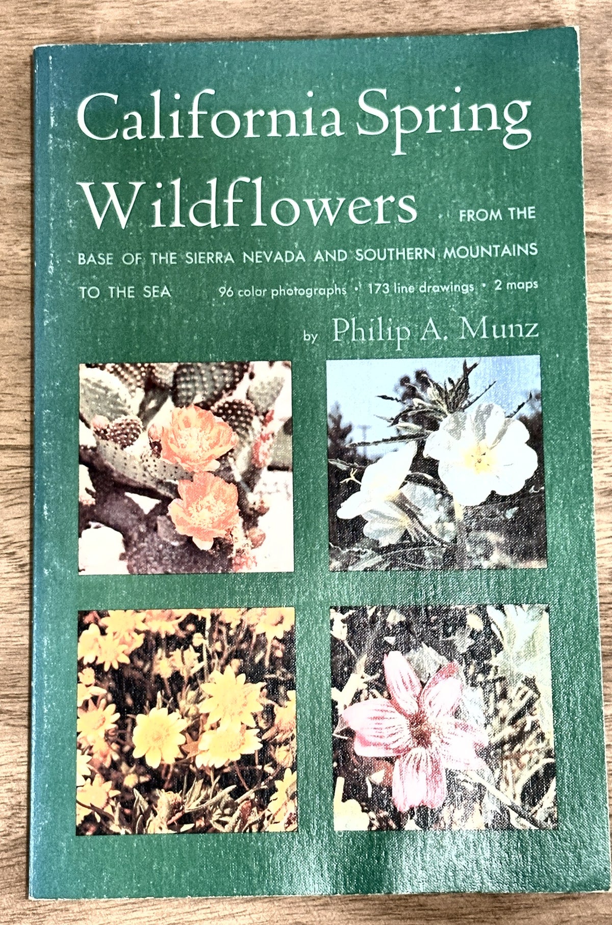 California Spring Wildflowers — Philip A. Munz
