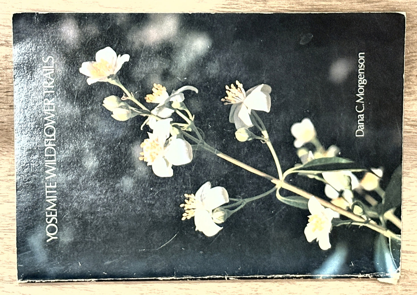 Yosemite Wildflower Trails — Dana C. Morgenson