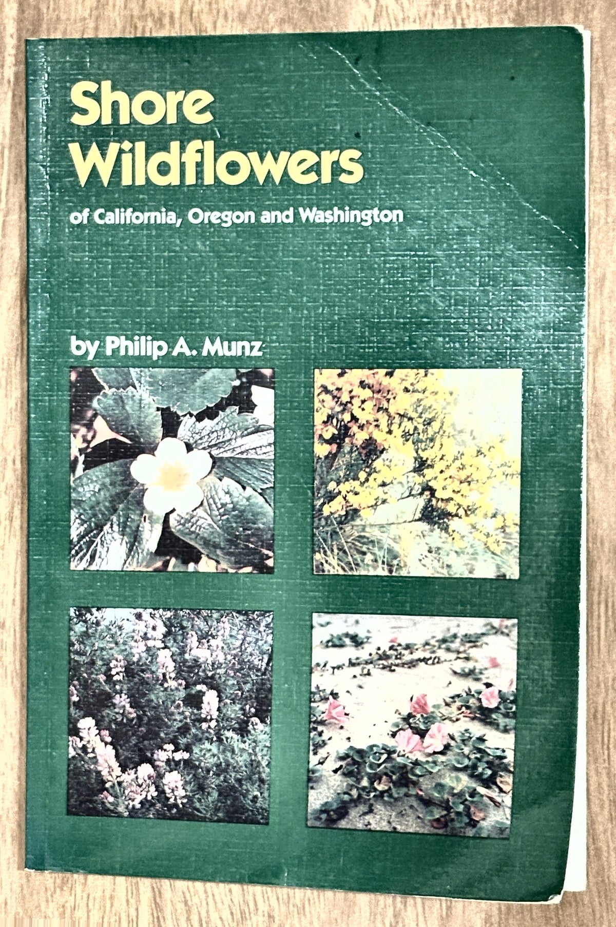 Shore Wildflowers of California, Oregon and Washington — Philip A. Munz
