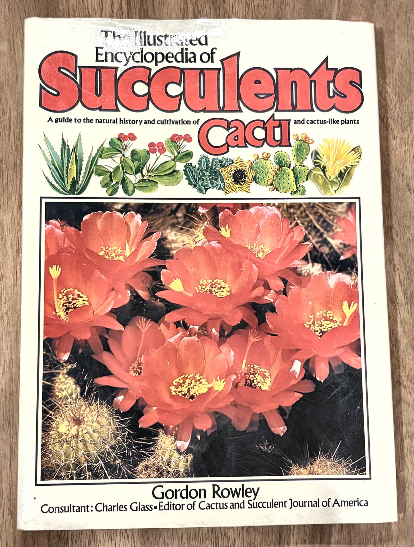 The Illustrated Encyclopedia of Succulents — Gordon Rowley