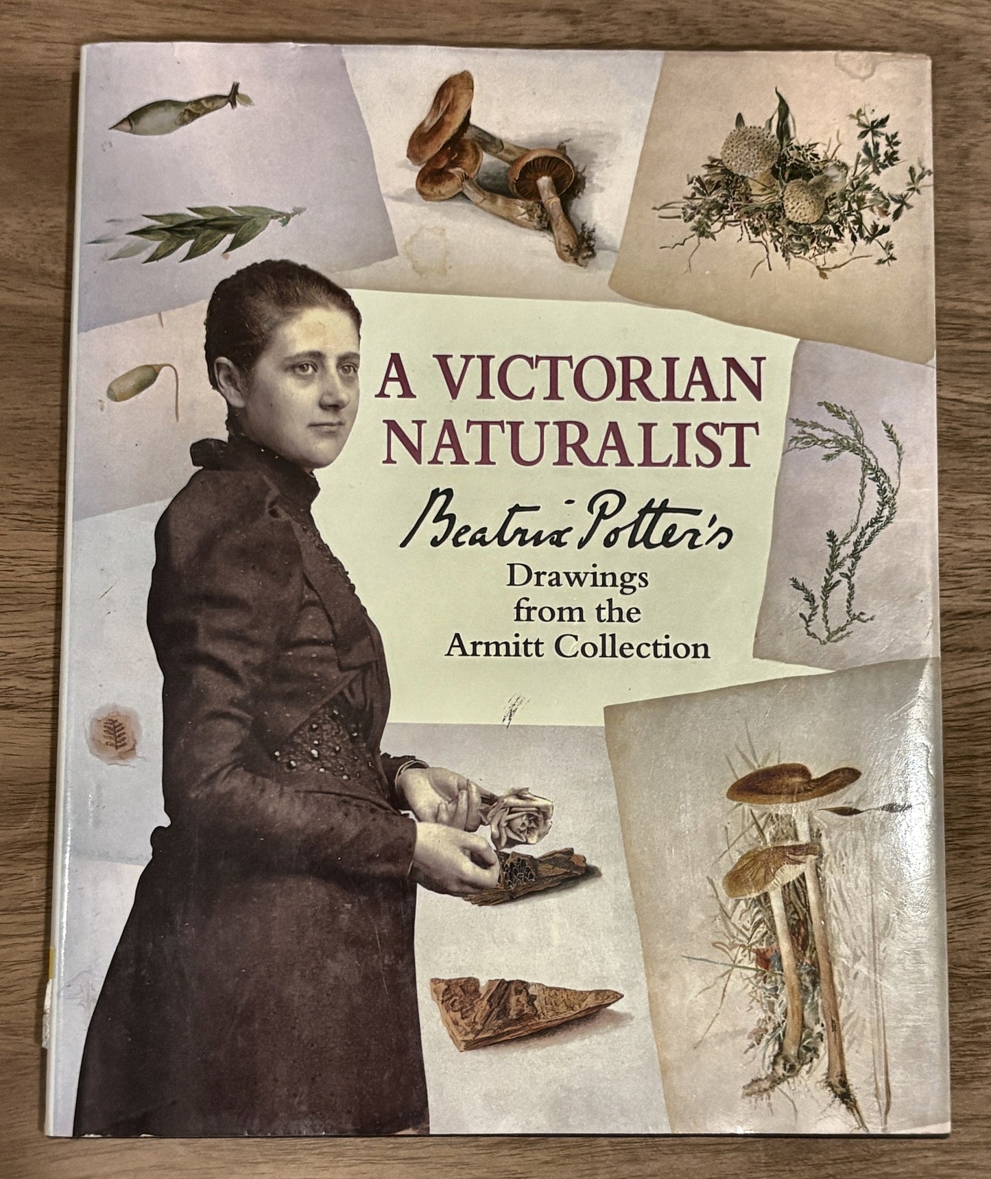 A Victorian Naturalist — Beatrix Potter (drawings)
