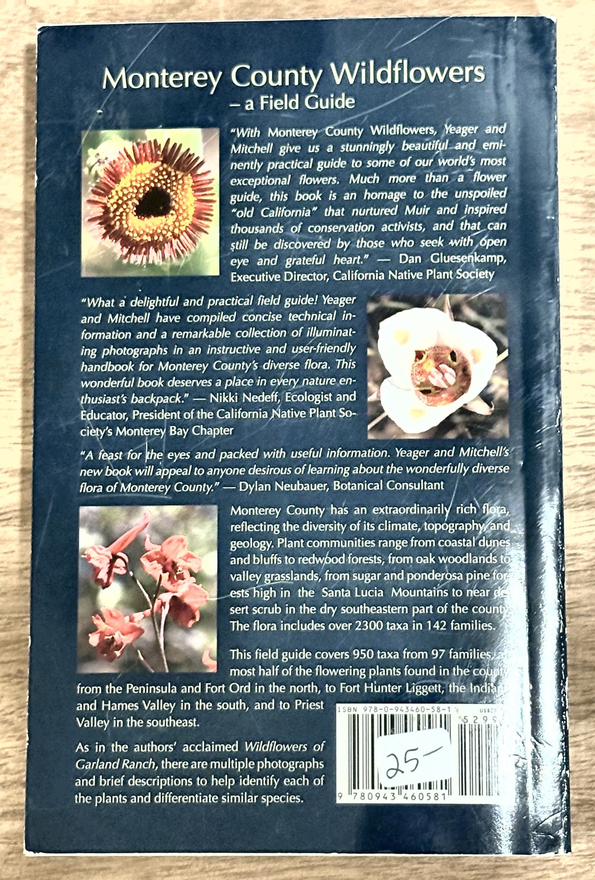 Monterey County Wildflowers — Rod M. Yeager