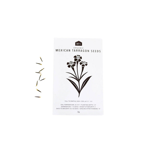 CULINARY HERB SEEDS II - PACK OF 5